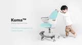 Kuma Ergonomic Chair