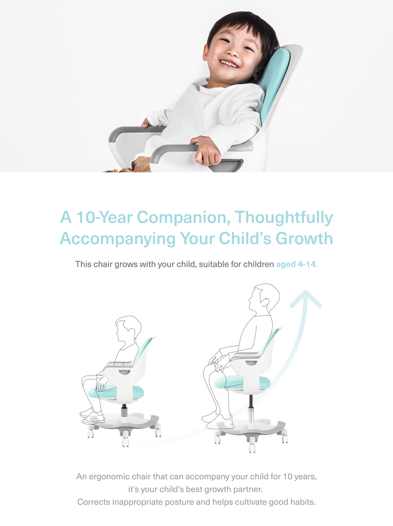 Kuma Ergonomic Chair