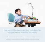 Kuma Ergonomic Chair