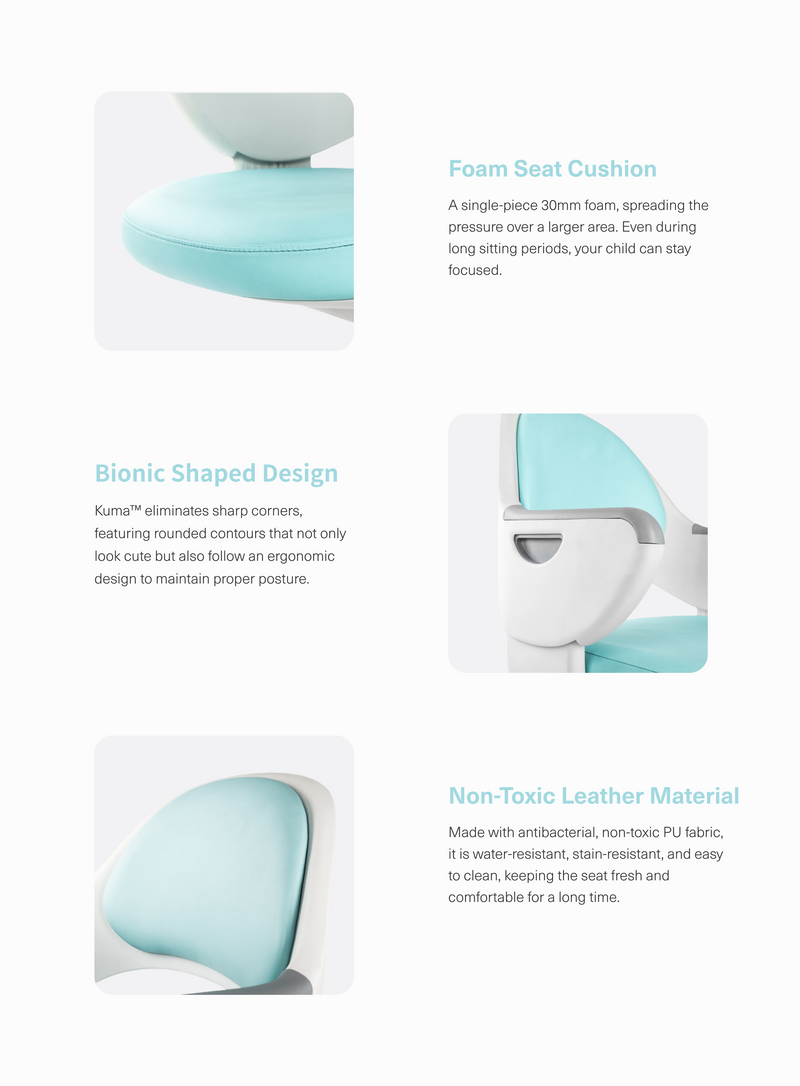 Kuma Ergonomic Chair