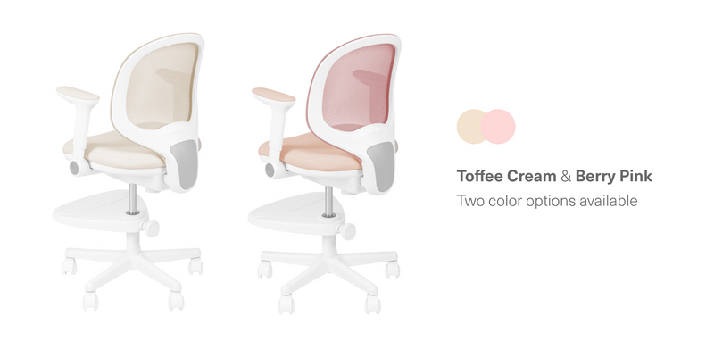 Macaron Ergonomic Chair
