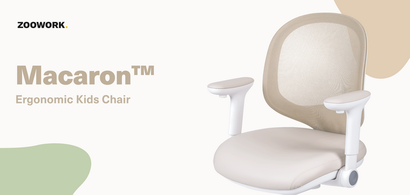 Macaron Ergonomic Chair