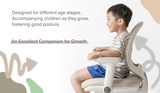 Macaron Ergonomic Chair