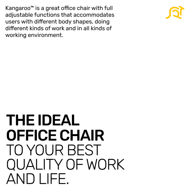 Kangaroo™ Grey Ergonomic Chair