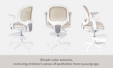 Macaron Ergonomic Chair