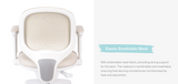 Macaron Ergonomic Chair