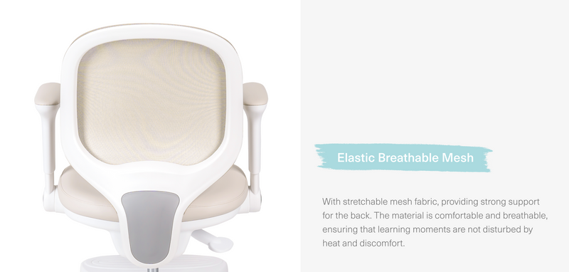 Macaron Ergonomic Chair