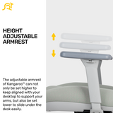 Kangaroo™ Grey Ergonomic Chair