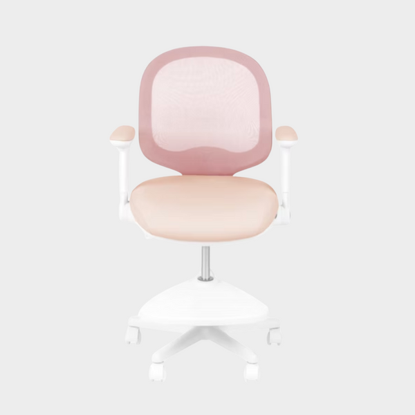 Macaron Ergonomic Chair