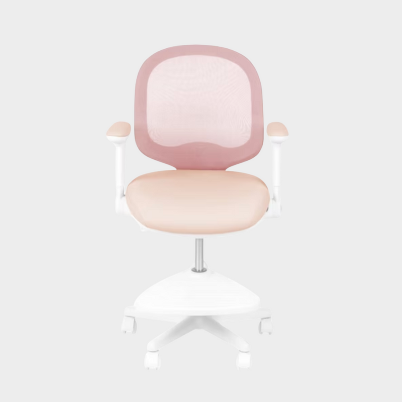 Macaron Ergonomic Chair