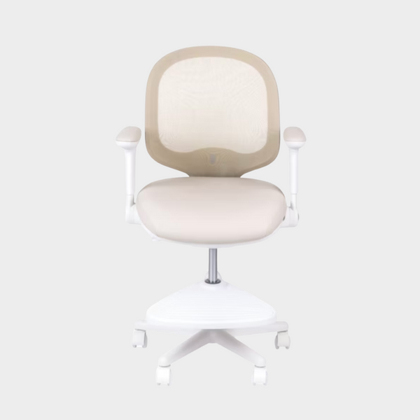 Macaron Ergonomic Chair