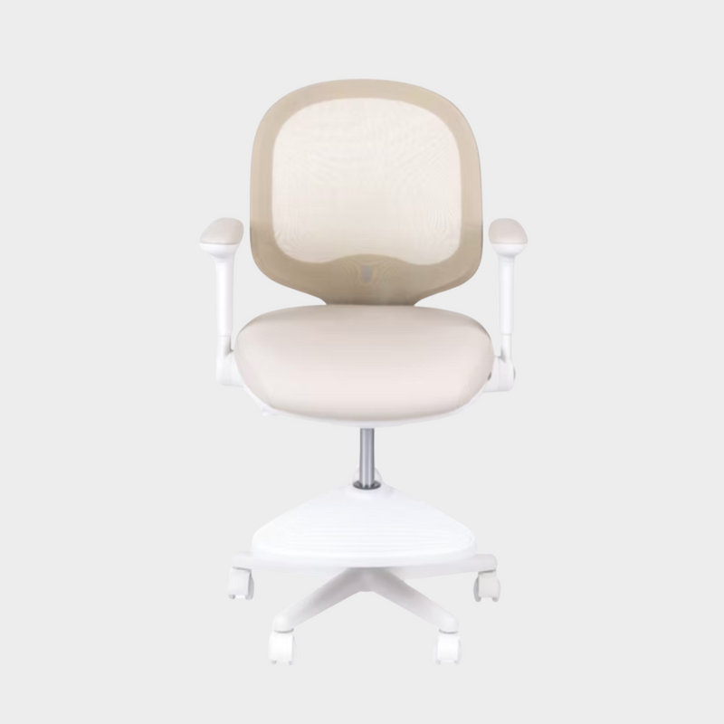 Macaron Ergonomic Chair